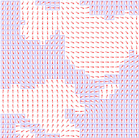 Domain-wall defects